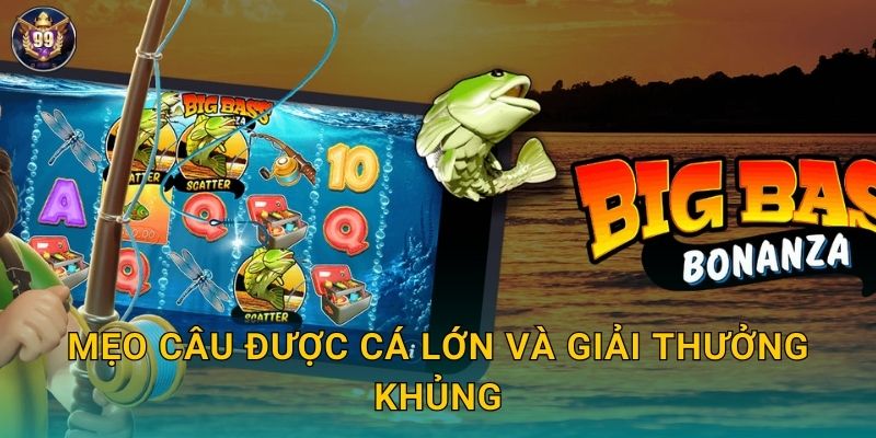 Mẹo câu được cá lớn và giải thưởng khủng