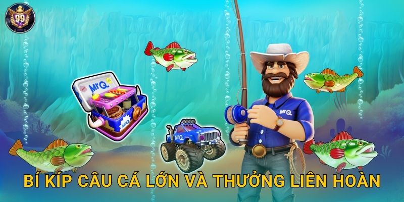 Bí kíp câu cá lớn và thưởng liên hoàn