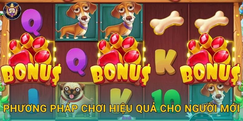 Phương pháp chơi hiệu quả cho người mới