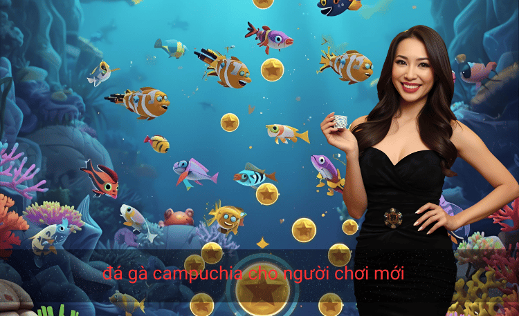 Đá gà Campuchia cho người chơi mới - 7 bí quyết thắng lớn 2 đá gà campuchia cho người chơi mới