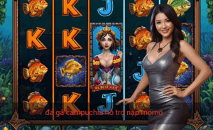 Đá gà Campuchia hỗ trợ nạp Momo