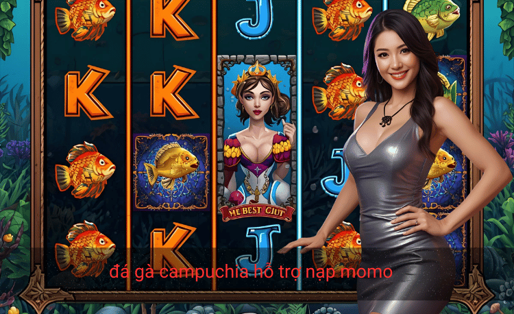 Đá gà Campuchia hỗ trợ nạp Momo - Hướng dẫn chi tiết 2026 2 Đá gà Campuchia hỗ trợ nạp Momo