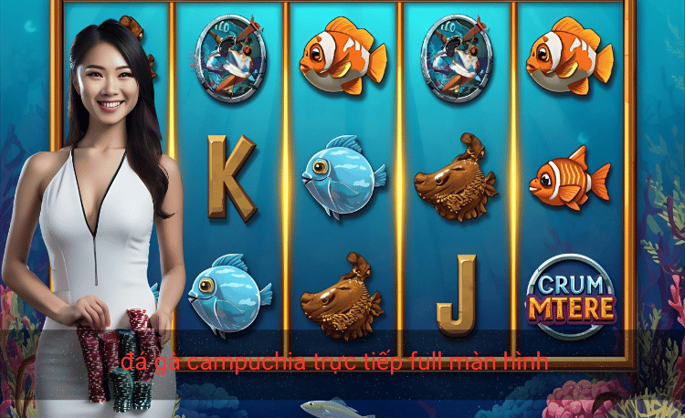 Đá gà Campuchia trực tiếp full màn hình HD cực nét 2 đá gà campuchia trực tiếp full màn hình