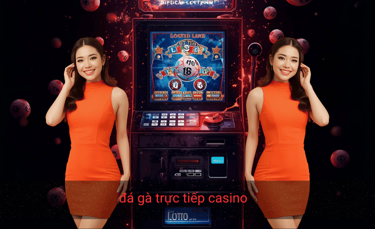 Đá gà trực tiếp casino