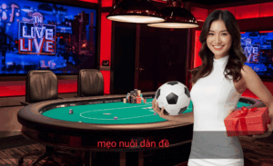 mẹo nuôi dàn đề